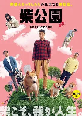 成年人av在线