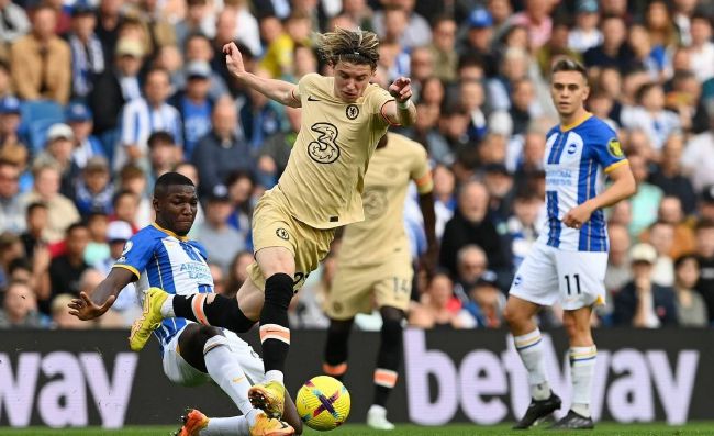 我要看日本黄色片