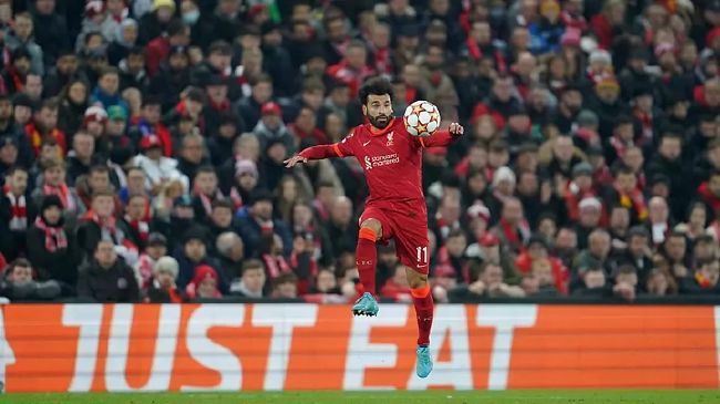国产区精品在线