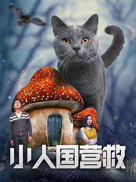 可以看美女隐私的软件大全