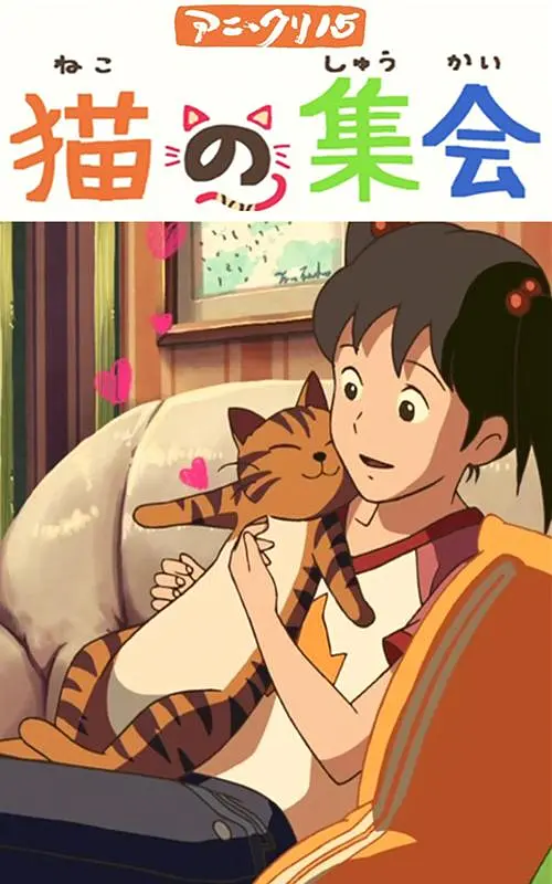 91视频夜色