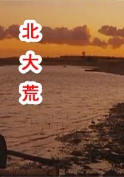 国产精品日本一区二区不卡视频