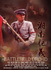 久久ri精品高清一区二区三区