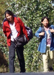 久草在线观看资源