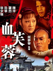 老妇av