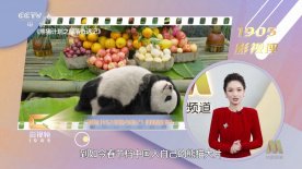 爱搞免费视频