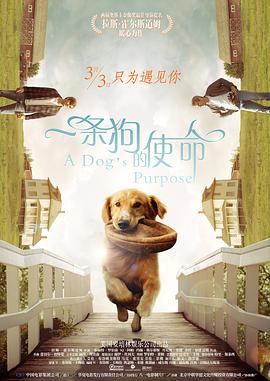她的下身